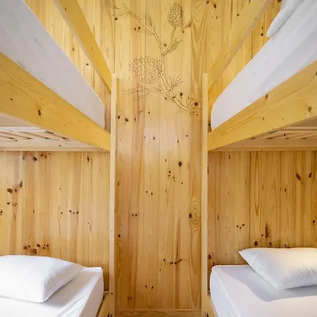 Forest - * Лейрия