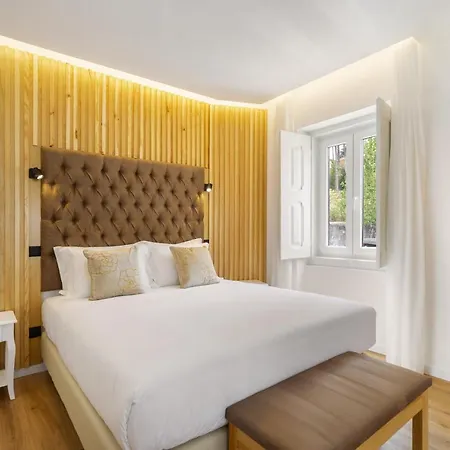 Forest - Лейрия