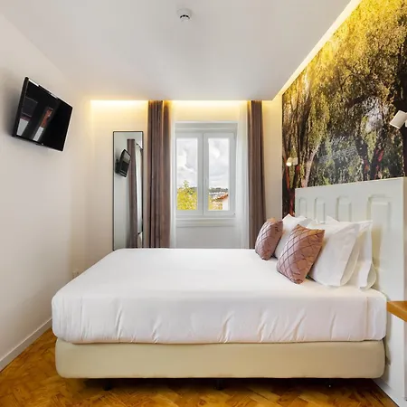 Forest - Hostel