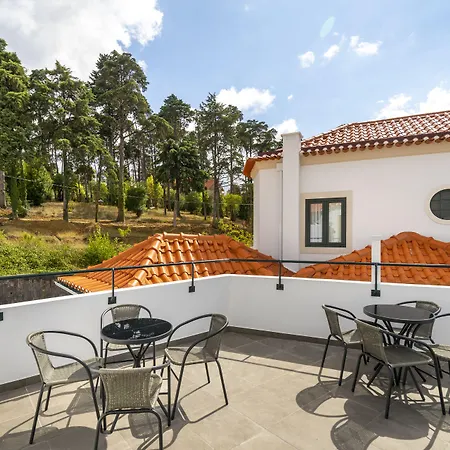 Хостел Forest - *