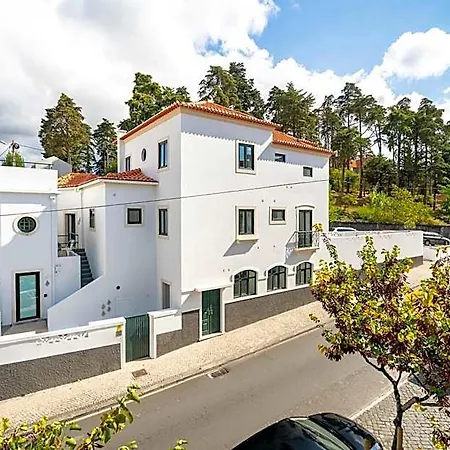 Forest - * Leiria