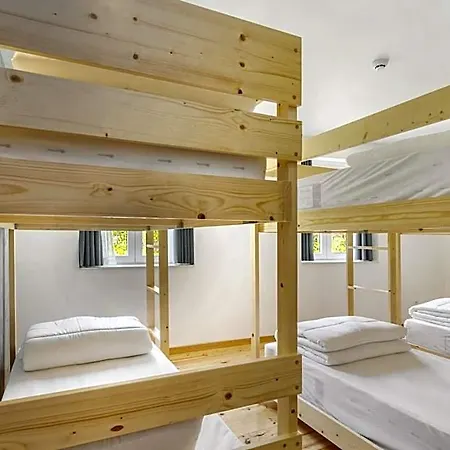 Forest - Hostel *