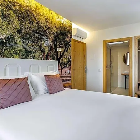 Forest - * Leiria