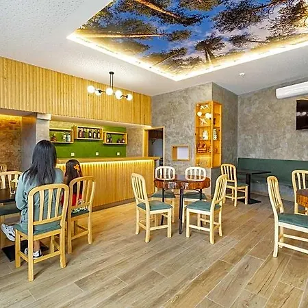 Forest - Hostel Leiria