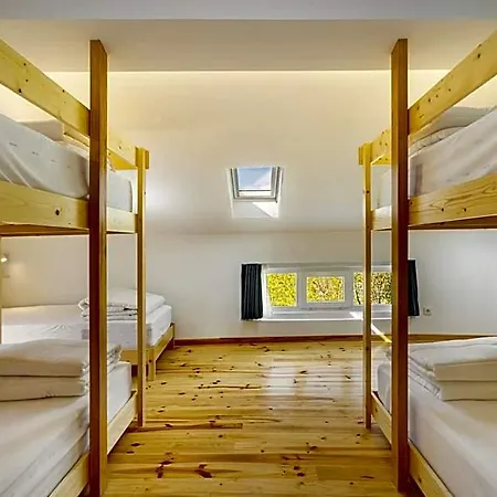 Forest - Hostel