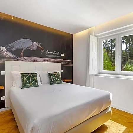 Forest - Hostel