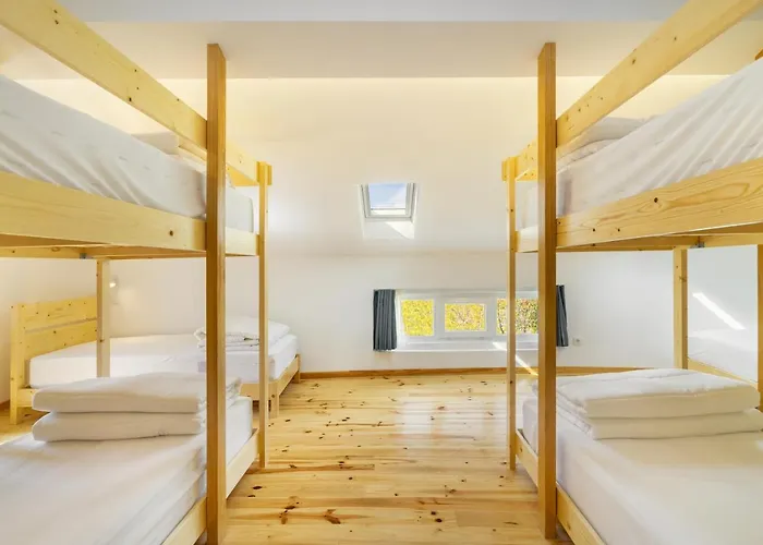 Forest - Хостел