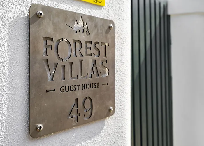 Forest - Хостел *